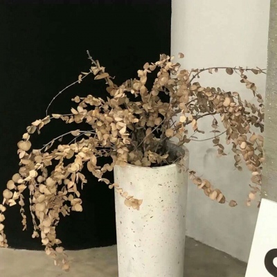 上杭福瑞交流群